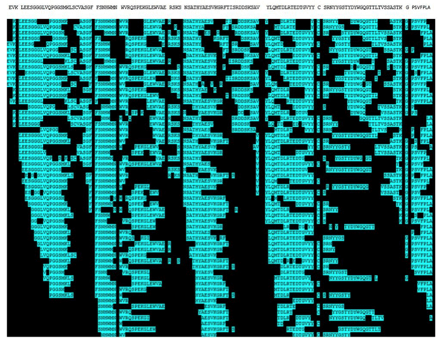 A example of de novo sdAb sequencing results. (Creative Biolabs Original)