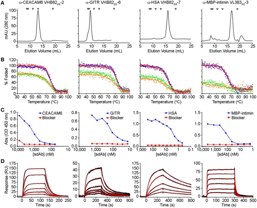A figure of a series sdAb characterization assay, including stability evaluation. (Henry, et al., 2017)