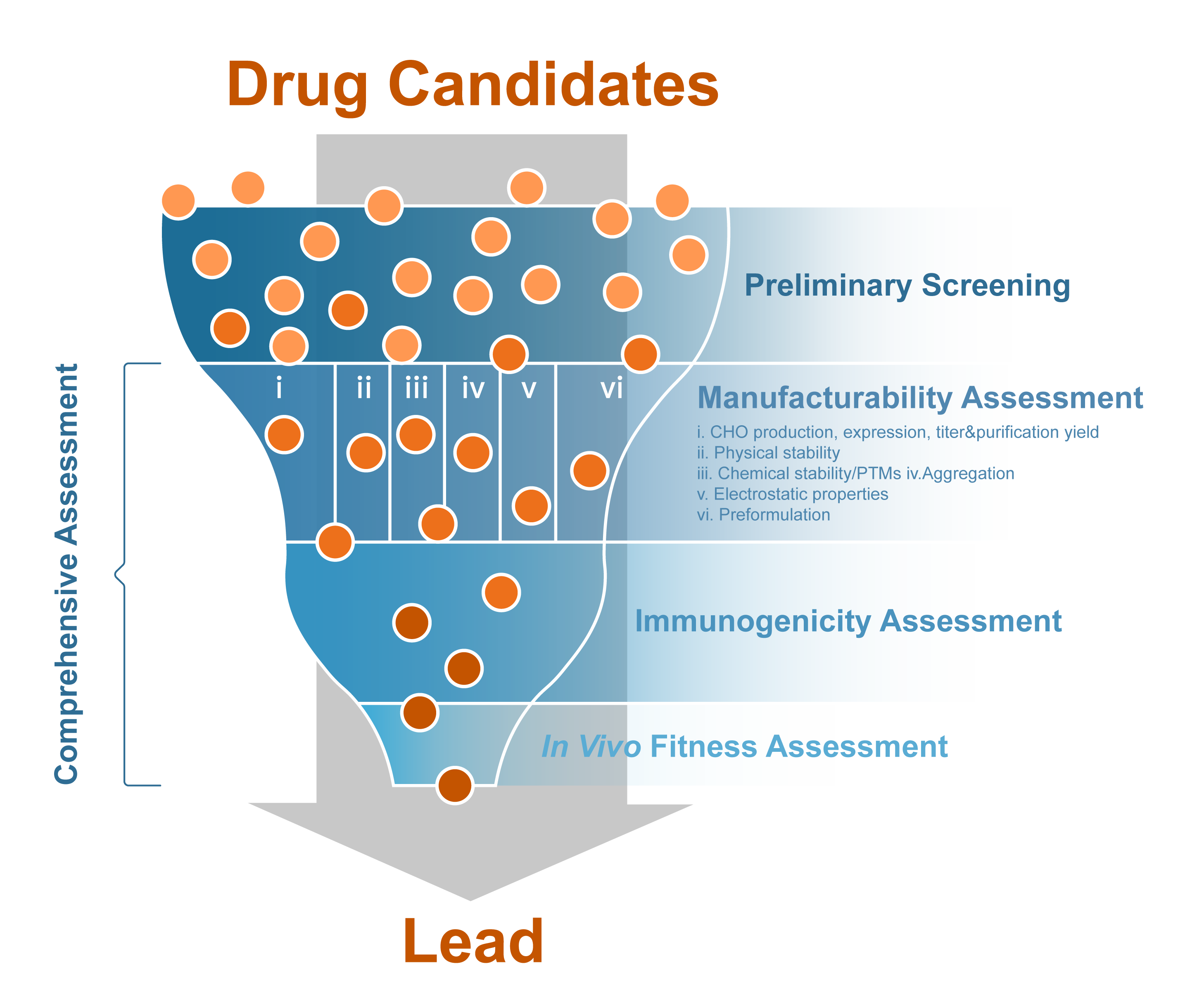 A schematic diagram of drug development phases. (Creative Biolabs Original)