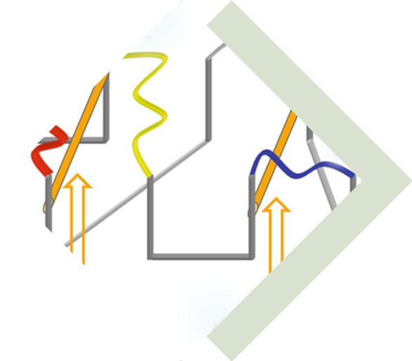 Multivalent VHH Development