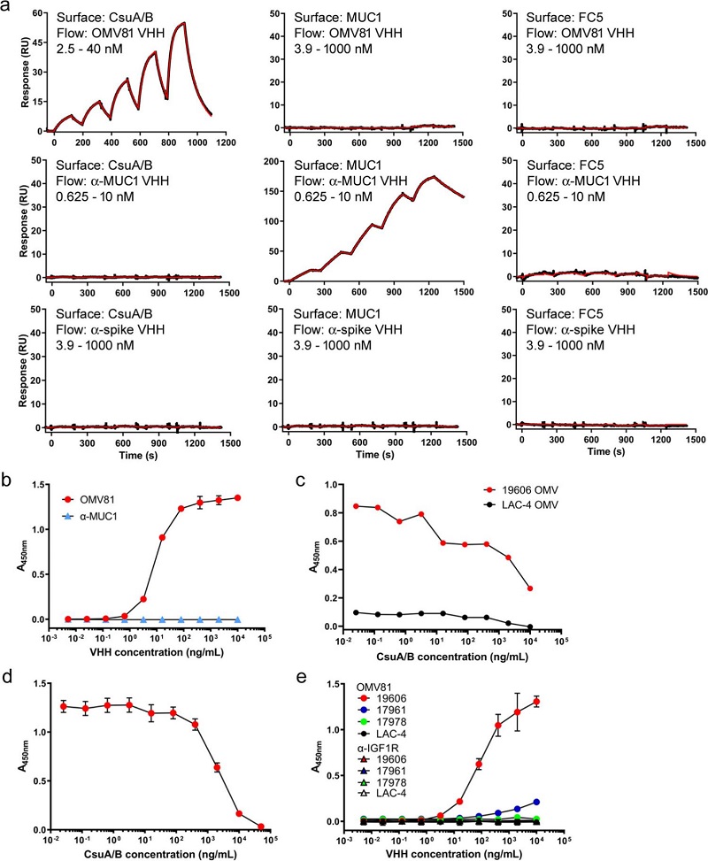 Fig. 3 Assessment of Affinity and Specificity of OMV81-CsuA/B Interaction.
