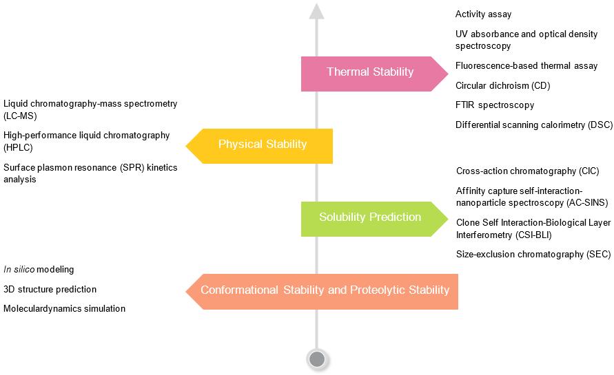 Features of or sdAb stability evaluation services. (Creative Biolabs Original)