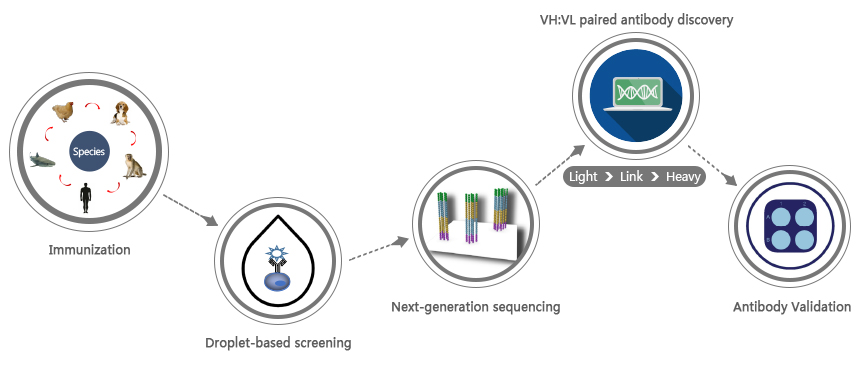 NatAb™ -An unprecedented platform for antibody discovery