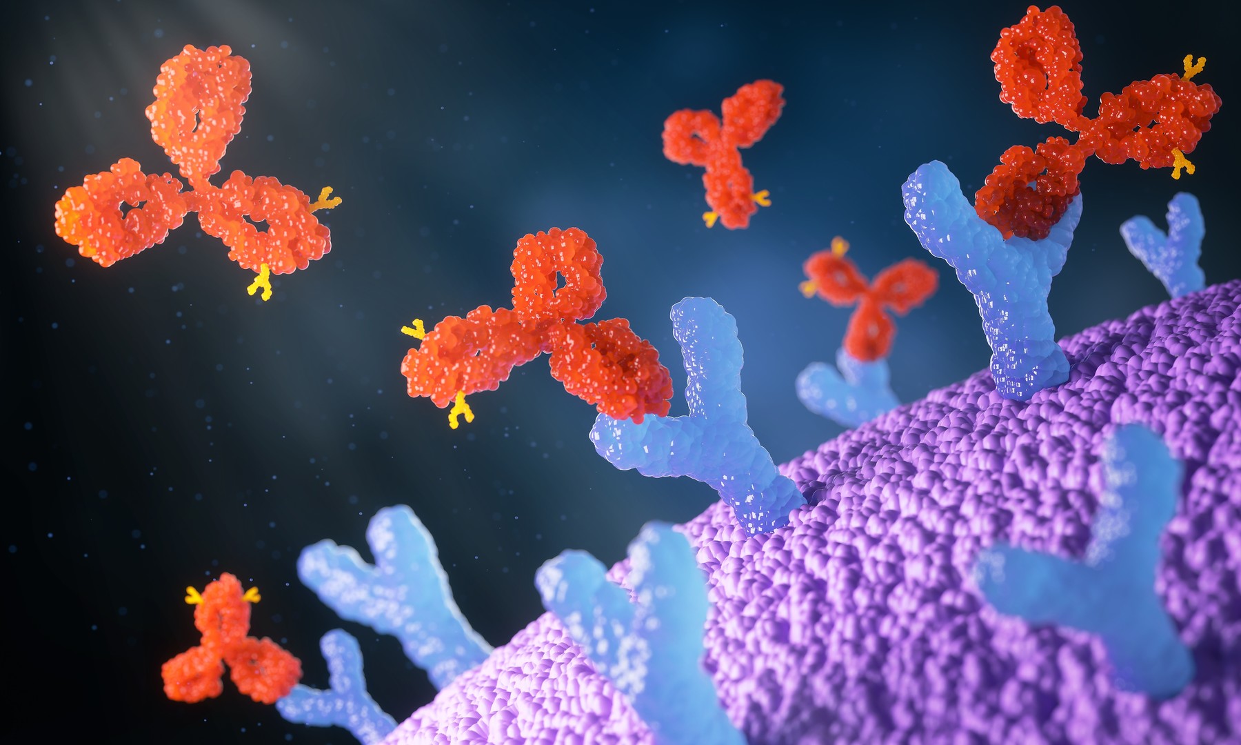 Antibody Therapeutics Engine (Creative Biolabs Authorized)
