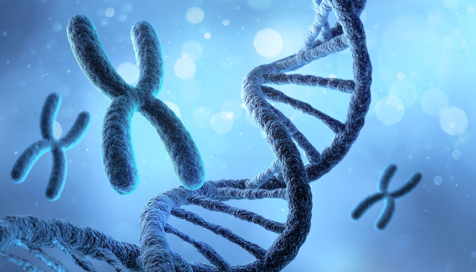 Gene and Cell Therapy (Creative Biolabs Authorized)