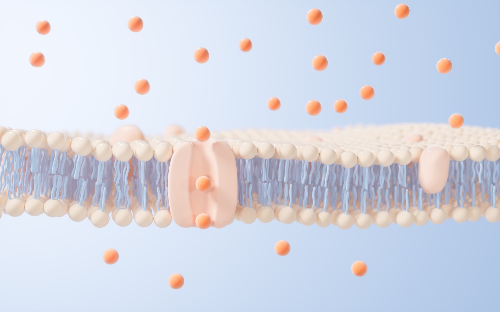Membrane Protein platform (Creative Biolabs Authorized)