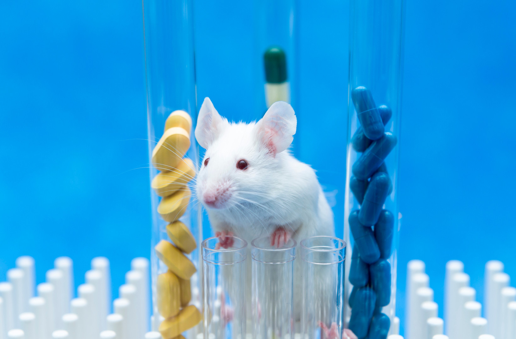 Translational Intelligence (Creative Biolabs Authorized)