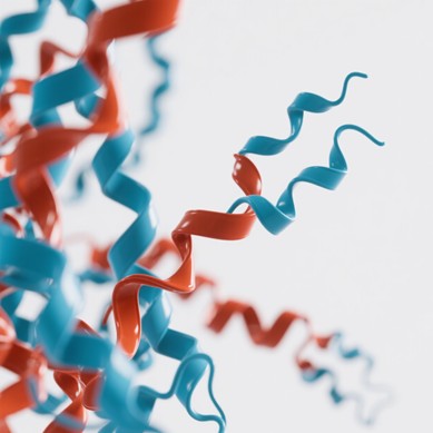 Fig.3 The antibody. (Creative Biolabs AI)