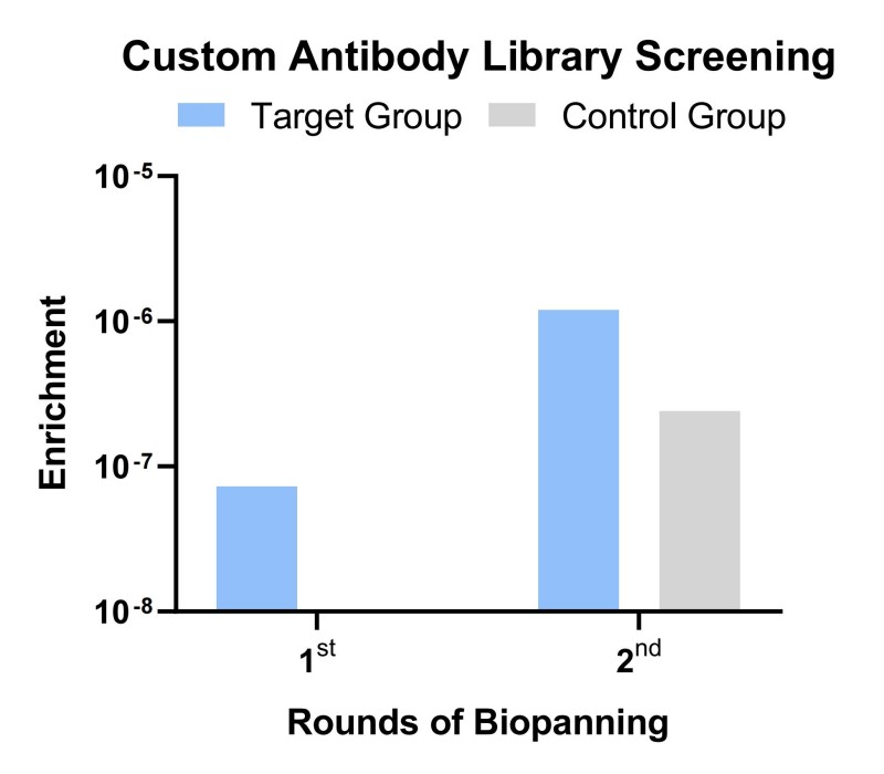 Fig 5. Screening of mice scFv fragments. (Creative Biolabs Original)