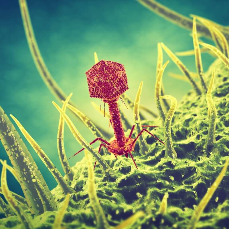 Fig.5 http://47.109.42.40:8006/images/20180711022612_0315.jpg. (Creative Biolabs Authorized)