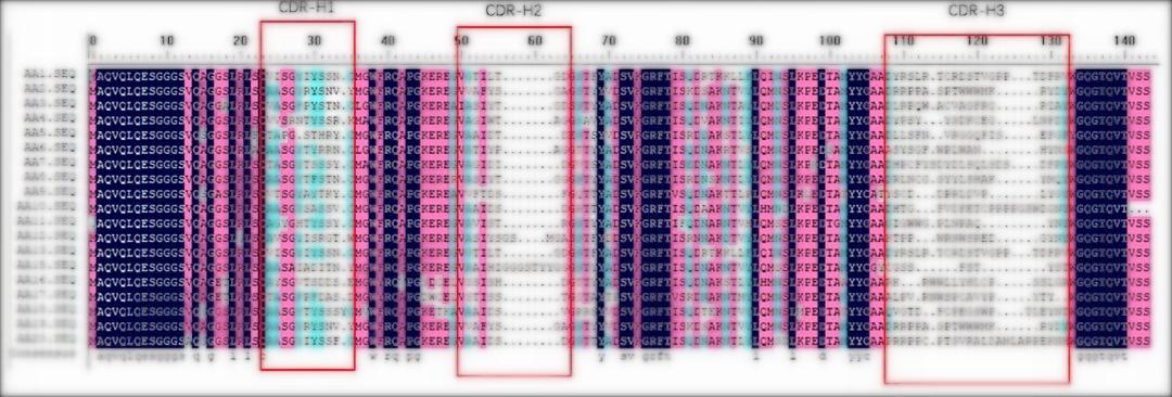 Fig.13 Graph illustrating the library capacity of the CasdAb L-6 library. (Creative Biolabs Original).