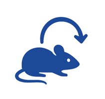 Fig.3 Tumor Targeting. (Creative Biolabs AI)
