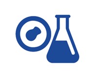 Fig.6 Result Verification. (Creative Biolabs AI)
