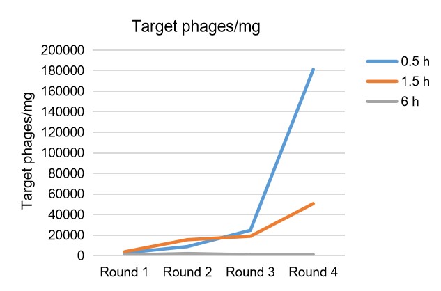 Fig. 7 Case result 1 for in vivo phage library screening. (Creative Biolabs Original).