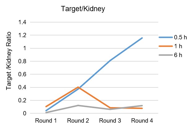 Fig.8 Case result 2 for in vivo phage library screening. (Creative Biolabs Original).