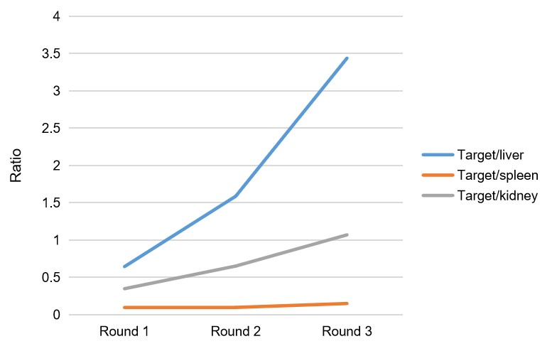 Fig.9 Case result 3 for in vivo phage library screening. (Creative Biolabs Original).