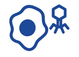 Fig.11 Cell-based Testing. (Creative Biolabs AI)