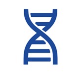 Fig.2 Library Synthesis. (Creative Biolabs AI)