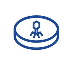Fig.9 Ex Vivo Analysis. (Creative Biolabs AI)