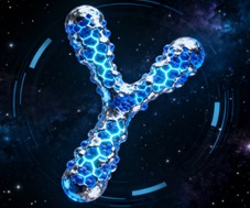 Fig.11 Monoclonal Ab Discovery. (Creative Biolabs AI)