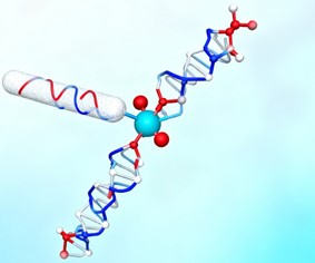 Fig.9 Immune Checkpoint Abs. (Creative Biolabs AI)