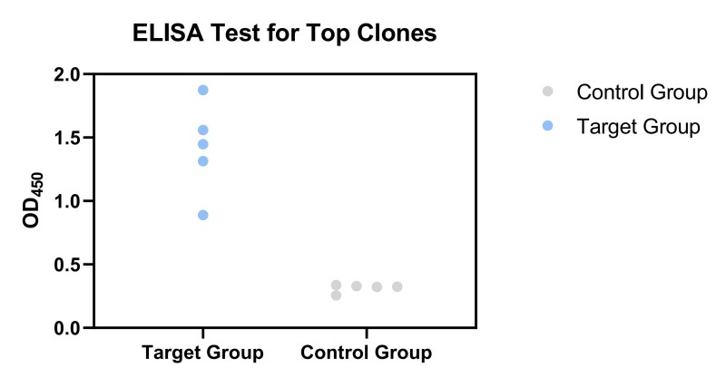 Fig.8 ELISA Validation of Top Clones for case-1. (Creative Biolabs Original)