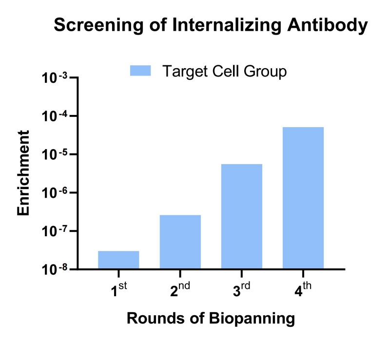 Phage output titers increased over four rounds of panning, indicating successful enrichment of target-specific binders.