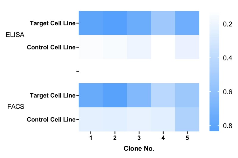 ELISA and FACS results for individual phage clones, showing strong binding signals to the target-overexpressing cells (Target+) compared to control cells (Target-).