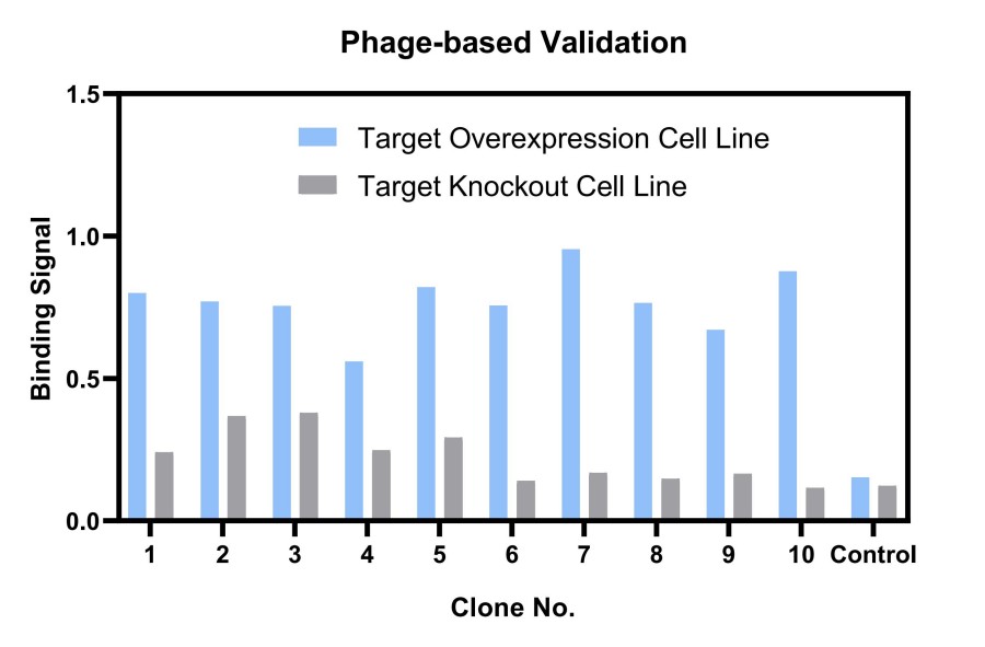 Fig.15 Multi-pass transmembrane targets. (Creative Biolabs Original).