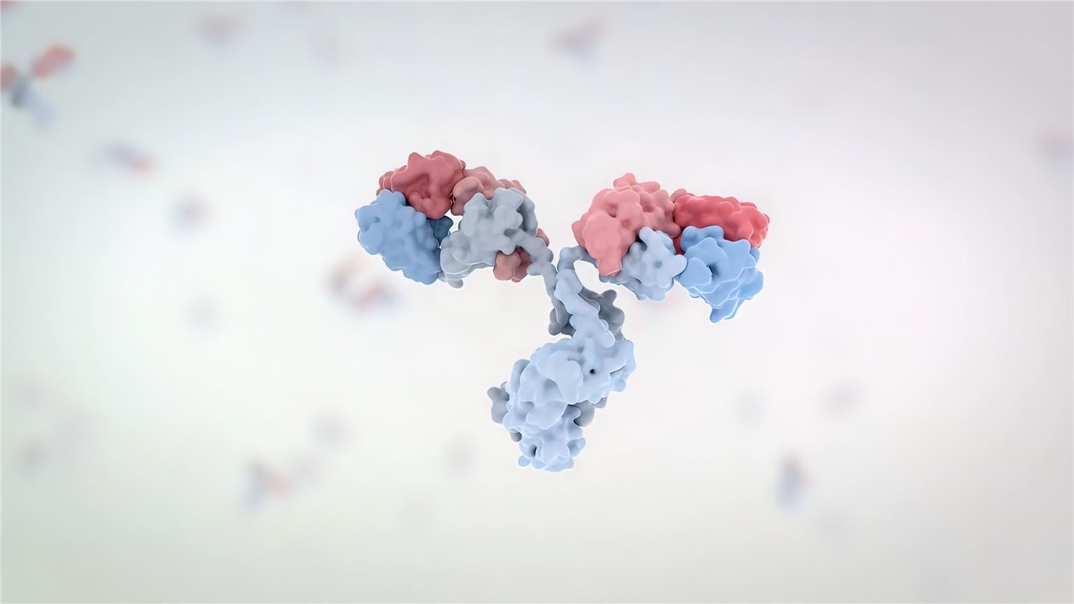 Fig 1. A graph demonstrating antibody. (Creative Biolabs Authorized)