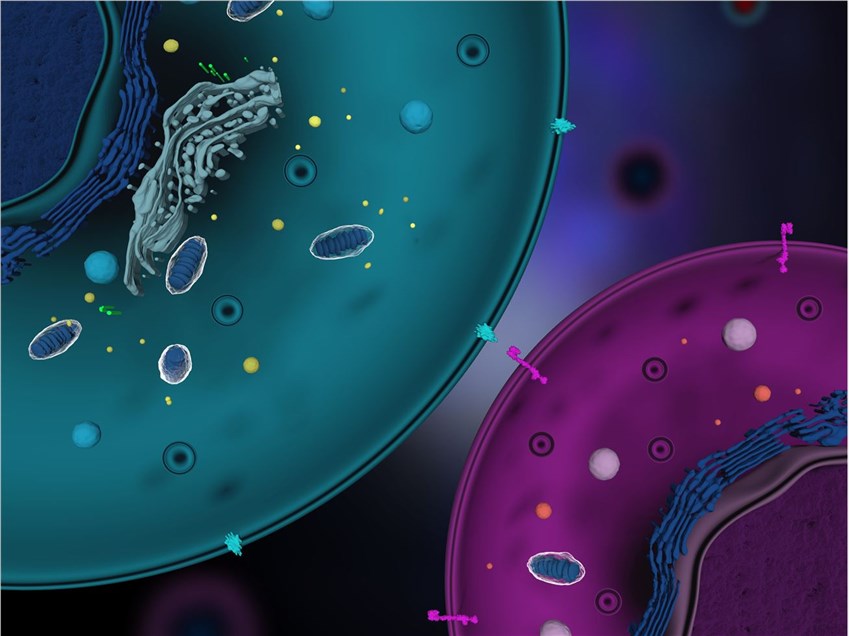 Fig 1. A graph demonstrating TCR. (Creative Biolabs Authorized)