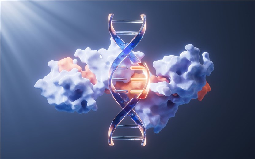 Fig 1. A graph demonstrating protein. (Creative Biolabs Authorized)