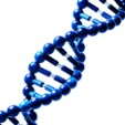 Fig.4 Double helix (Creative Biolabs AI)