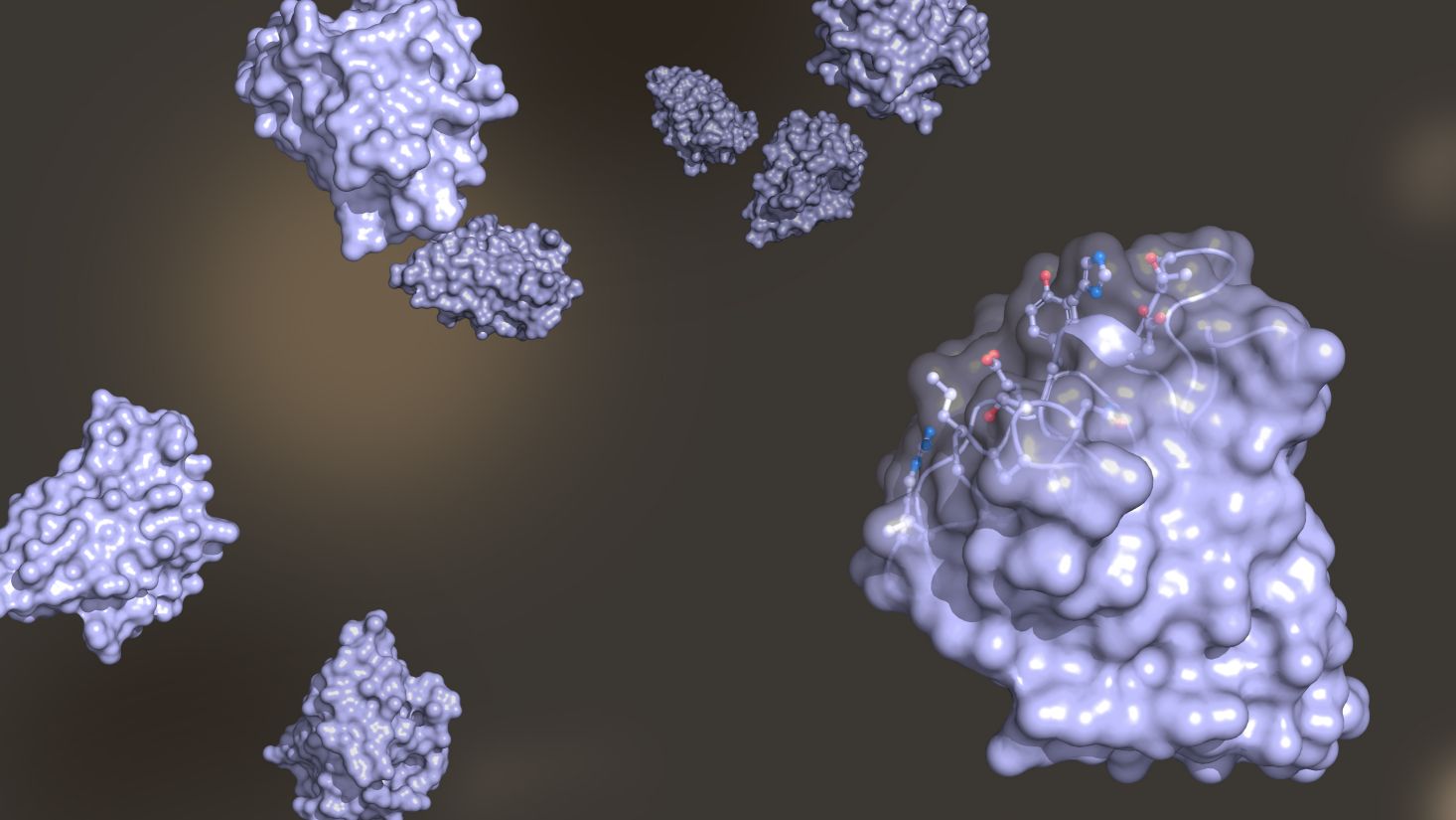 Fig 1. A picture demonstrating sdAb. (Creative Biolabs Authorized)