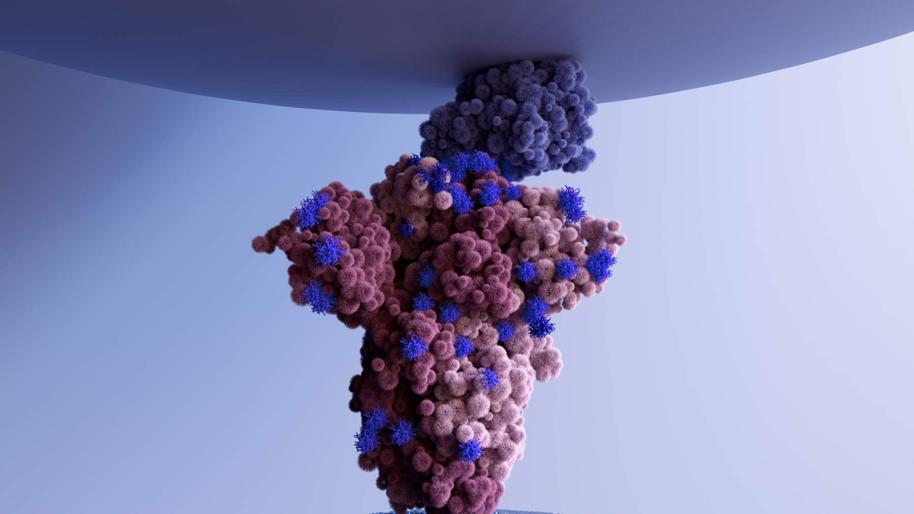 Fig 1. A picture demonstrating protein. (Creative Biolabs Authorized)
