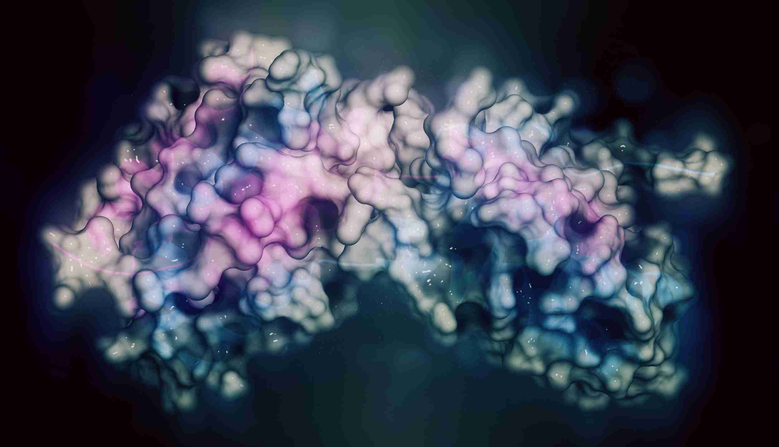 Fig 1. A picture demonstrating protein. (Creative Biolabs Authorized)
