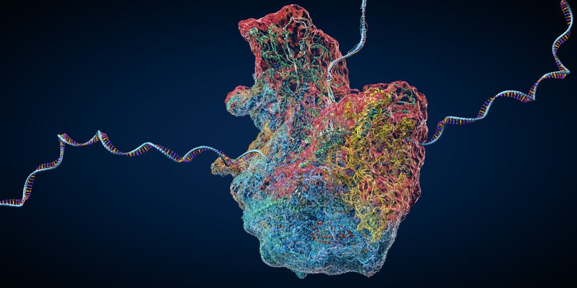 Fig 1. A picture demonstrating protein. (Creative Biolabs Authorized)