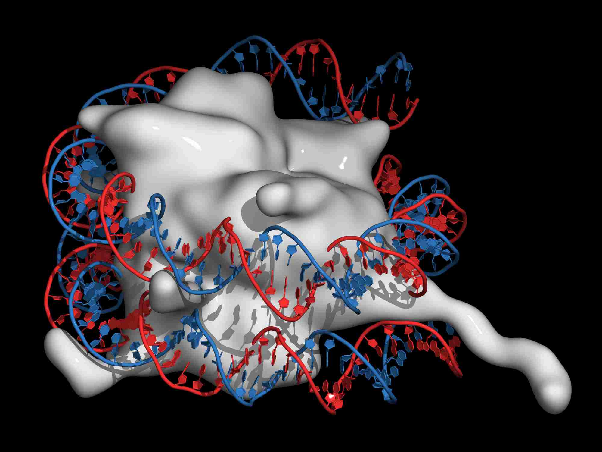 Fig 1. A picture demonstrating protein. (Creative Biolabs Authorized)