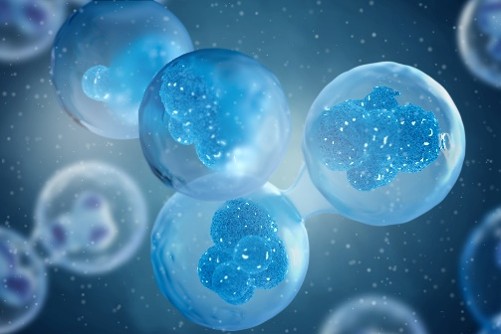Precise Screening of High-Affinity MHC-Binding Peptides