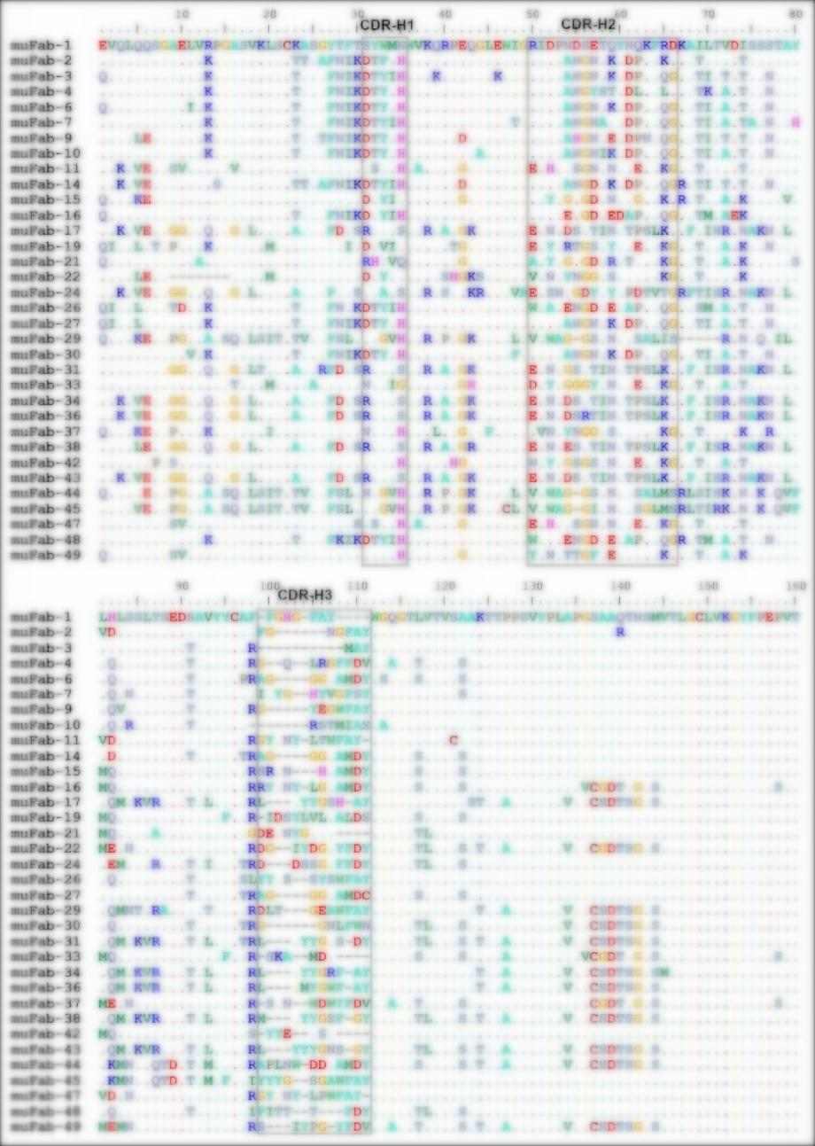Fig 3. Graph displaying the sequencing results-1 of the MuFabL-2 library. (Creative Biolabs Original).