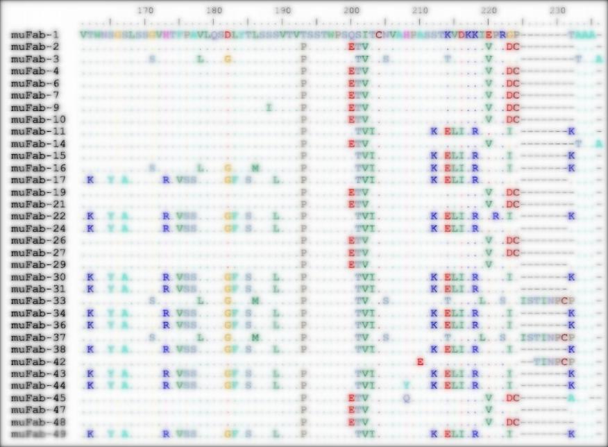 Fig 4. Graph displaying the sequencing results-2 of the MuFabL-2 library. (Creative Biolabs Original).