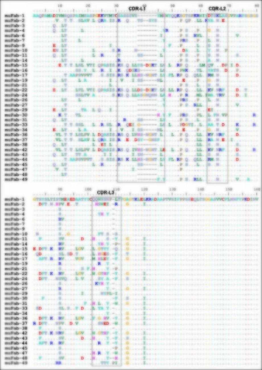 Fig 5. Graph displaying the sequencing results-3 of the MuFabL-2 library. (Creative Biolabs Original)