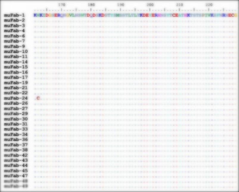 Fig 6. Graph displaying the sequencing results-4 of the MuFabL-2 library. (Creative Biolabs Original).