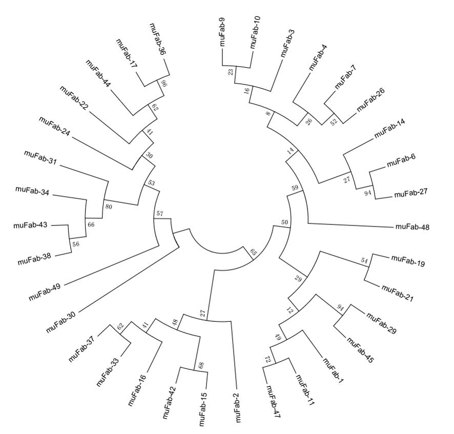 Fig 7. Graph depicting the diversity of the MuFabL-2 library. (Creative Biolabs Original)