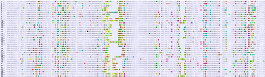 Fig 2. Graph depicting the sequencing results of Chicken-ScL-2 library. (Creative Biolabs Original).