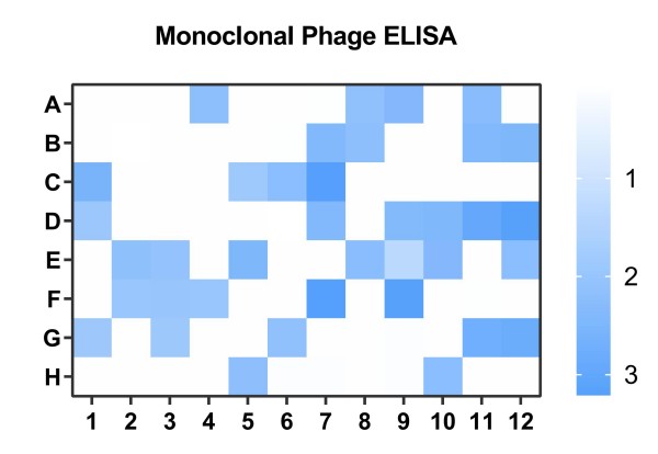 Fig.12 Case 1 monoclonal phage ELISA result. (Creative Biolabs Original)