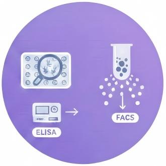 Fig.13 High-Throughput Validation. (Creative Biolabs AI)