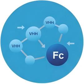 Fig.10 Modular versatility. (Creative Biolabs AI)