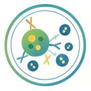 Fig.20 Antibody discovery for immunotherapy. (Creative Biolabs AI)