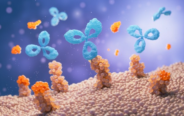 Fig.4 Premade Antibody Library based TCR-Like Antibody Discovery Service. (Creative Biolabs Original)